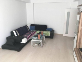 apartament 3 camere